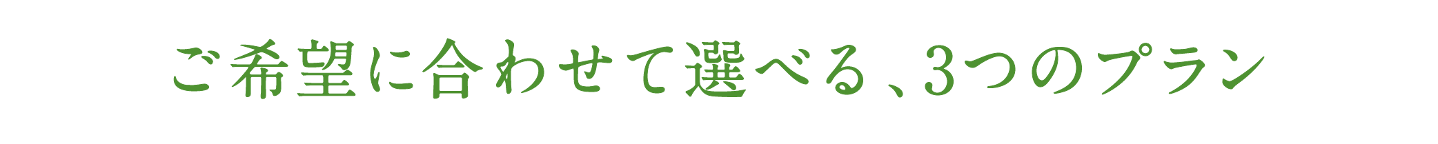 ご希望に合わせて選べる、3つのプラン